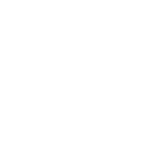 Vision Icon